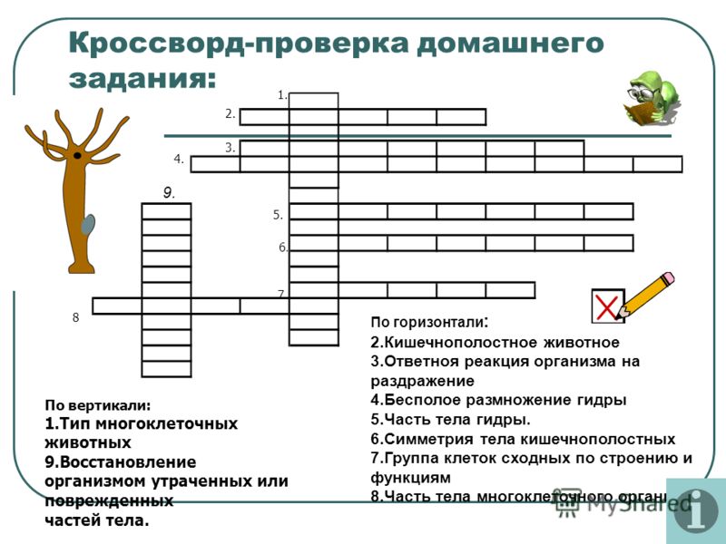 Кракен даркнет рынок